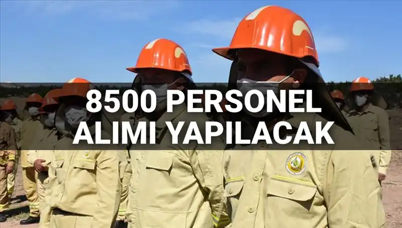 Tarım ve Orman Bakanlığı 2025’te 8500 Yeni Personel Alacak: Şartlar ve Tarih Açıklandı mı?