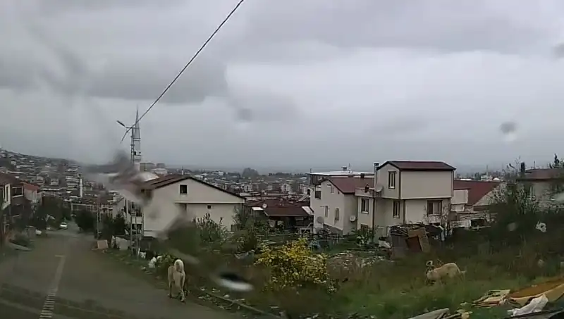 Sahipsiz Köpekler Saldırdı: 5 Yaşındaki Çocuk Ağır Yaralandı!