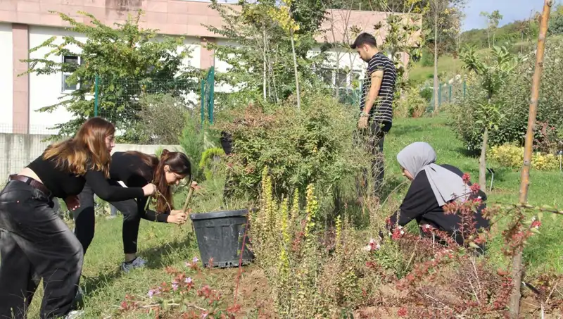 Düzce’nin Eşsiz Lezzeti:  Hayaldi Gerçek Oldu, Dünya ile Buluştu