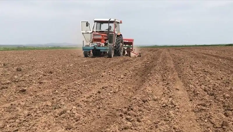 Son 35 Yılda Mart Ayı Rekoru: Yağış Miktarı Yüzde 59 Düştü!