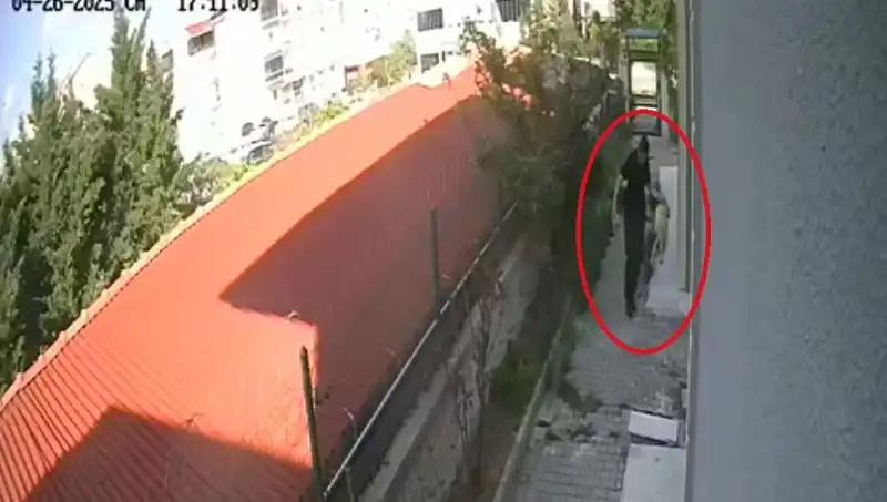 Veteriner Doktorun Şok Edici Olayı: Sahiplendiği Köpekleri Öldürdü!