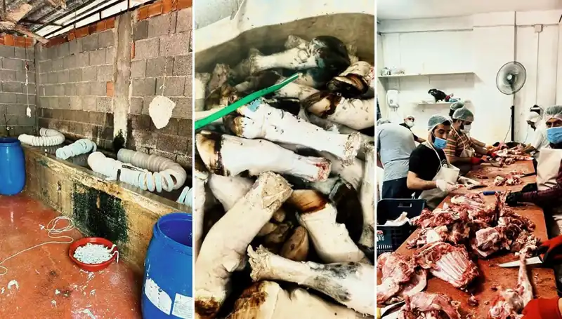 Adana'da Yüzlerce Kilo Paça Ele Geçirildi: Mide Bulandıran Görüntüler Ortaya Çıktı