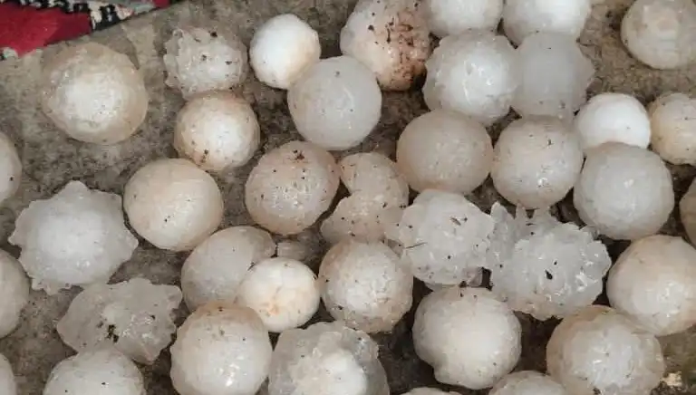 Şanlıurfa'da Kar Topu Büyüklüğünde Dolu Yağışıyla Hayat Durdu