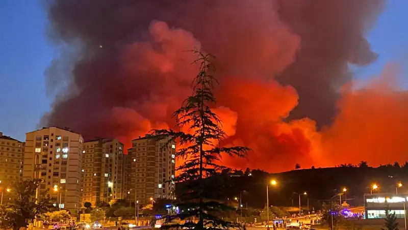 Bursa'da Yangınlar Alarm Veriyor: Şehrin Çehresini Değiştiriyor!