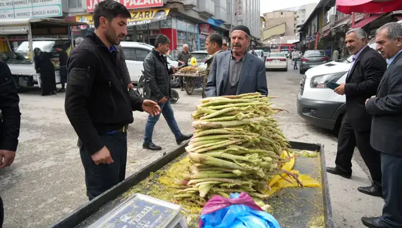 Dağlık Alanların Şifalı Şekerleri: Kanser ve Mide Hastalıklarına Karşı Etkileri