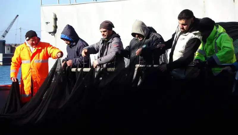 Hamsi Avında Yaşanan Kriz: Tekneler Erken Limana Dönmek Zorunda Kaldı