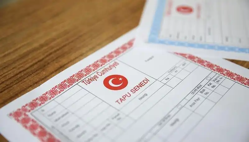 100 Milyonluk Kandırmaca: Hisseli Tapu Yalanı ile Dolandırıcılık Skandalı Ortaya Çıktı