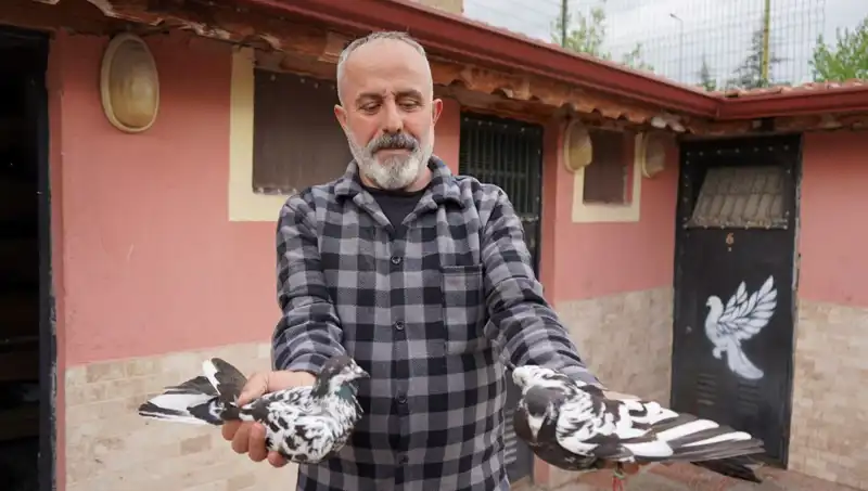 42 Yıllık Hobi Profesyonel Tesise Dönüştü: İl Dışından Yoğun Talep Geliyor