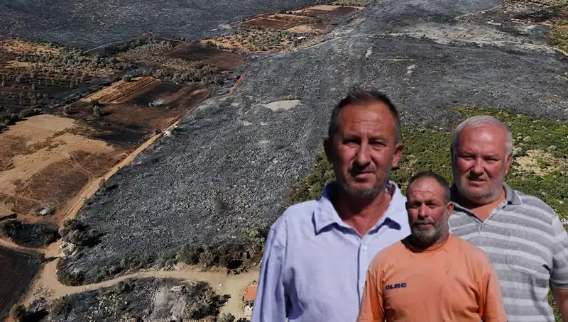 Çeşme Yangını: Hayatları Alt Üst Eden Felaketin Acı Bilançosu