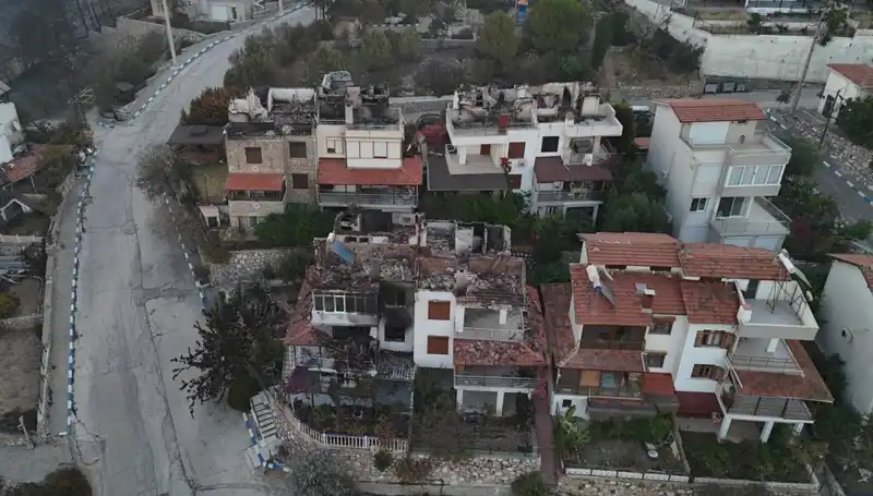 Orman Yangınları İstanbul'u Sarsıyor: Evler ve Doğa Tehlikede!