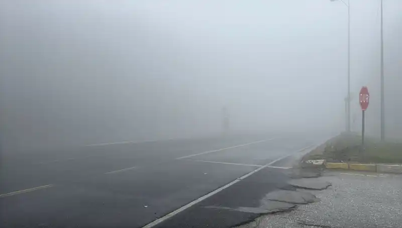 Bolu Dağı’nda Sıcak Havanın Ardından Sis Etkisini Gösterdi