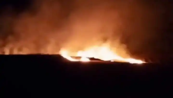 20 Dönüm Tarım Arazisi Yangında Kül Oldu, Sebebi Belirsiz