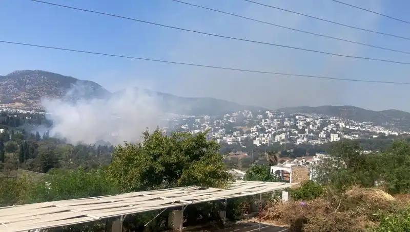 Muğla'daki Orman Yangınları Kontrol Altına Alındı: Doğanın Yeniden Doğuşu