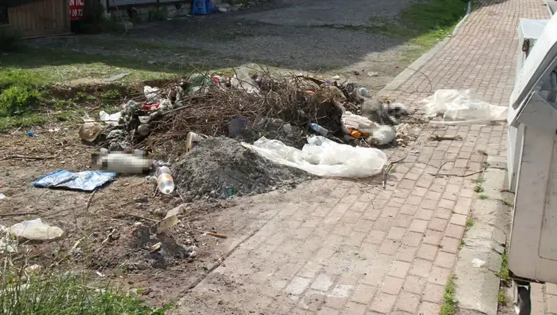 Antalya’da Sır Perdesi Aralanıyor: 10 Kedi Ölümü ve Ardındaki Gizem