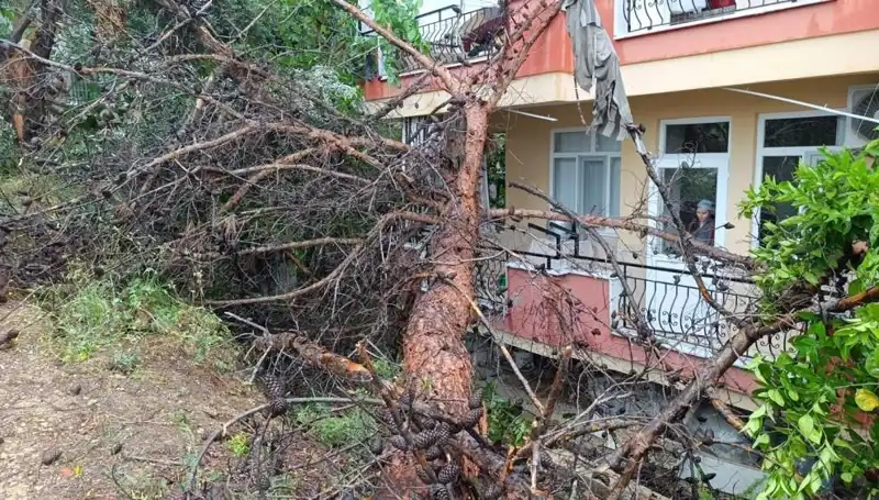 Gözler Önünde Devrilen Bina: Sağanak Yağışın Neden Olduğu Felaket