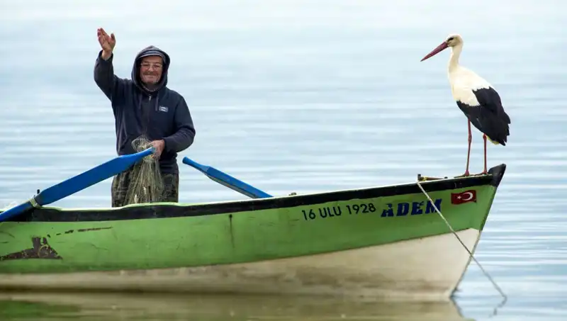 Yaren Leylek Geldi mi? Yeni Sezonun Beklentileri ve Gelişmeleri
