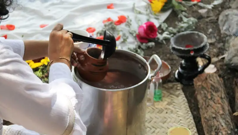 Doğanın Şifası: Ayahuasca Çayı Nedir ve Yasal Durumu Nasıldır?